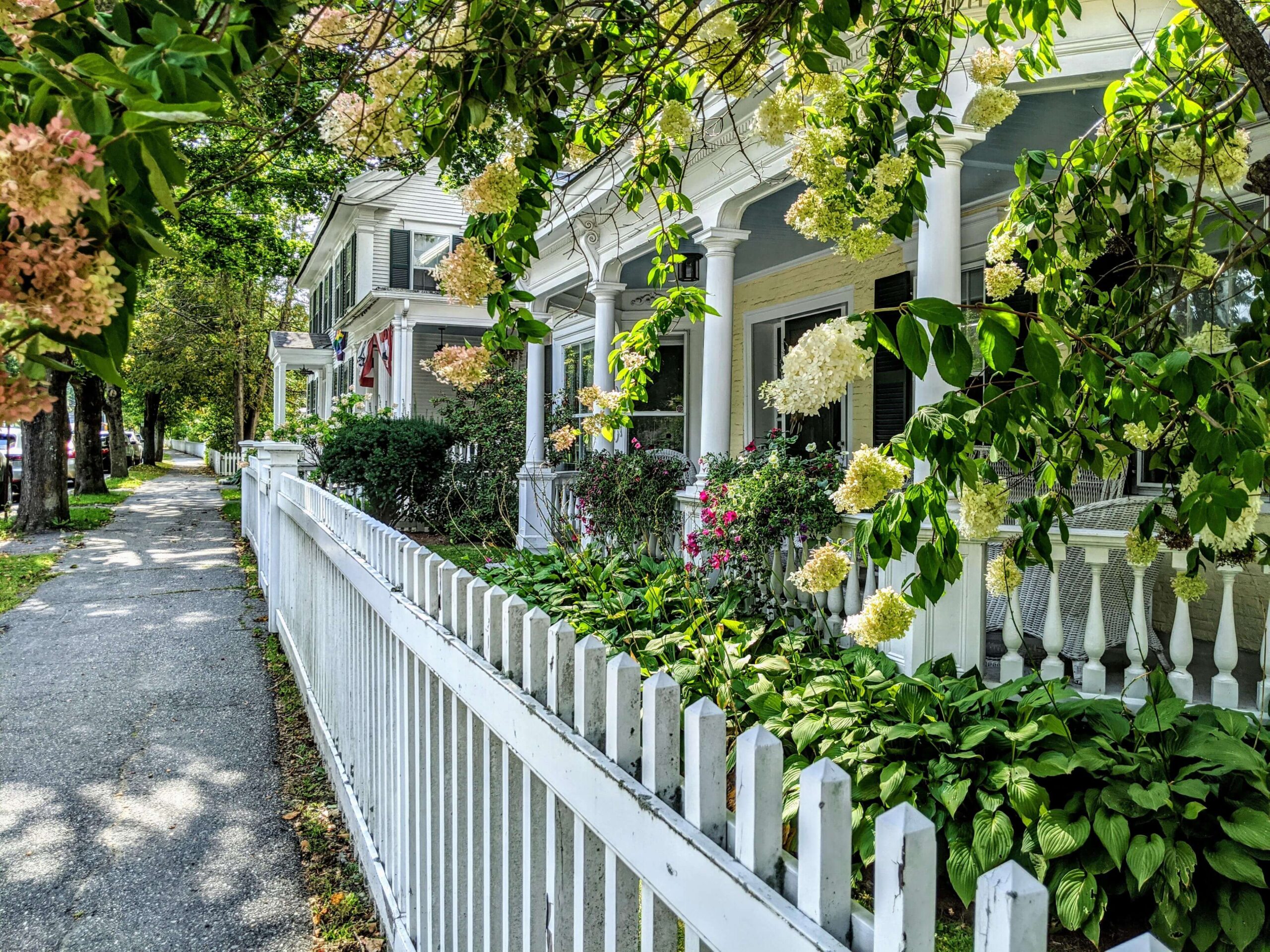 The green end of summer near bridge