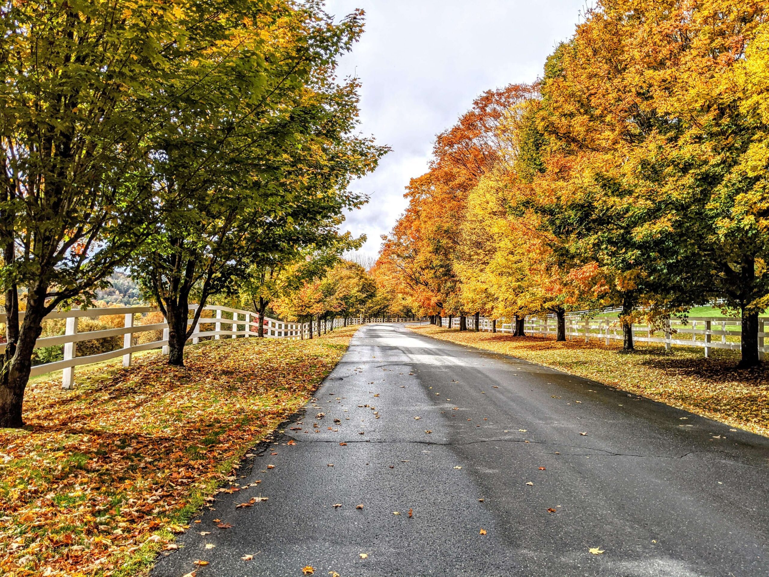 Old River Road in fall autumn foliage