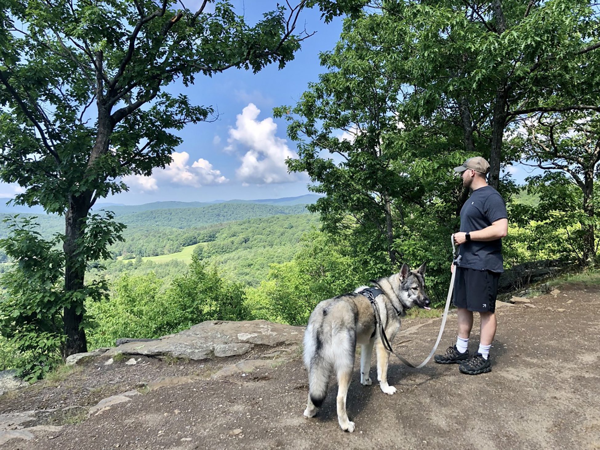 Dog Hikes on MT Tom