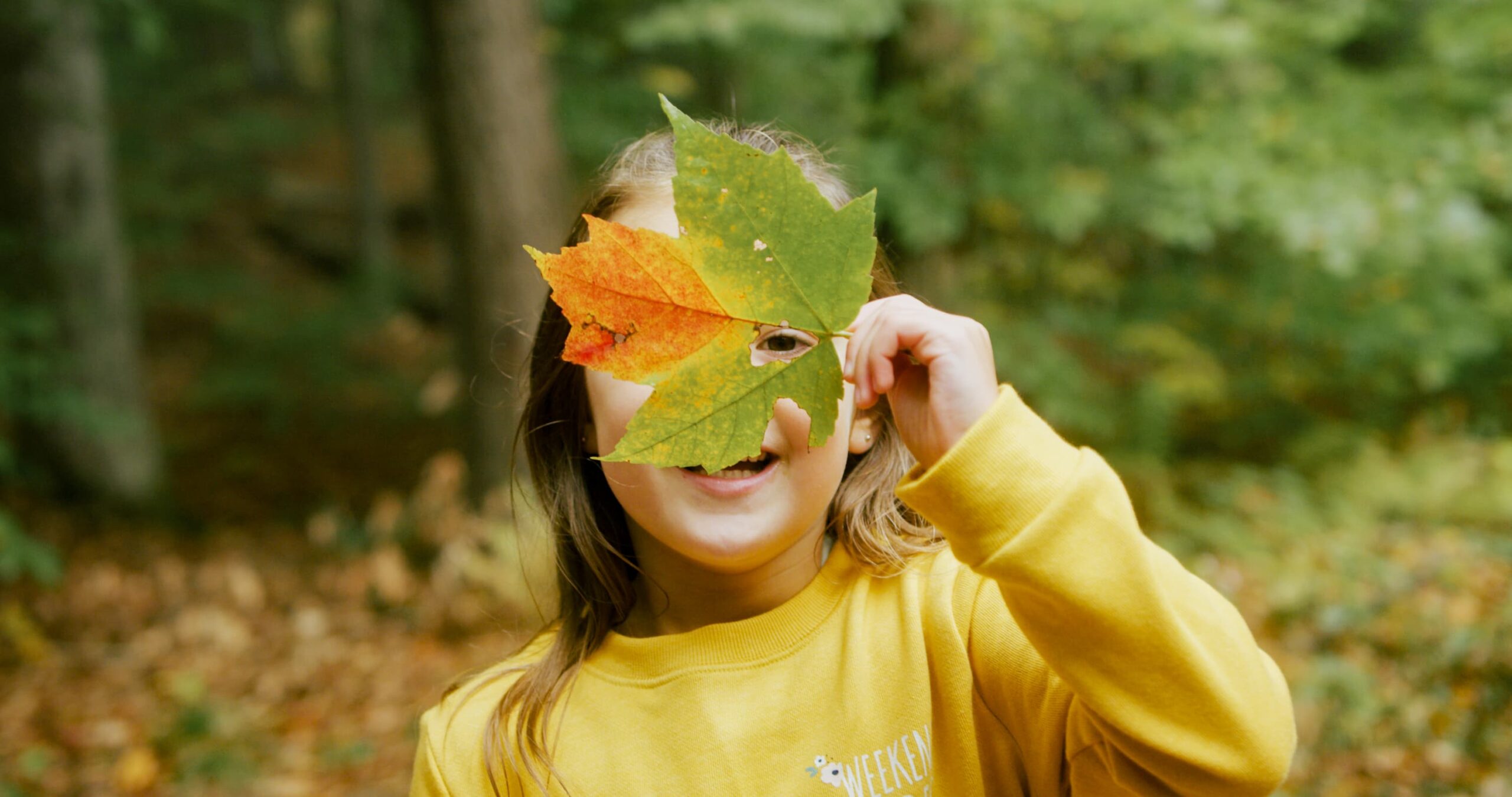 Girl playing with fall orange leaf