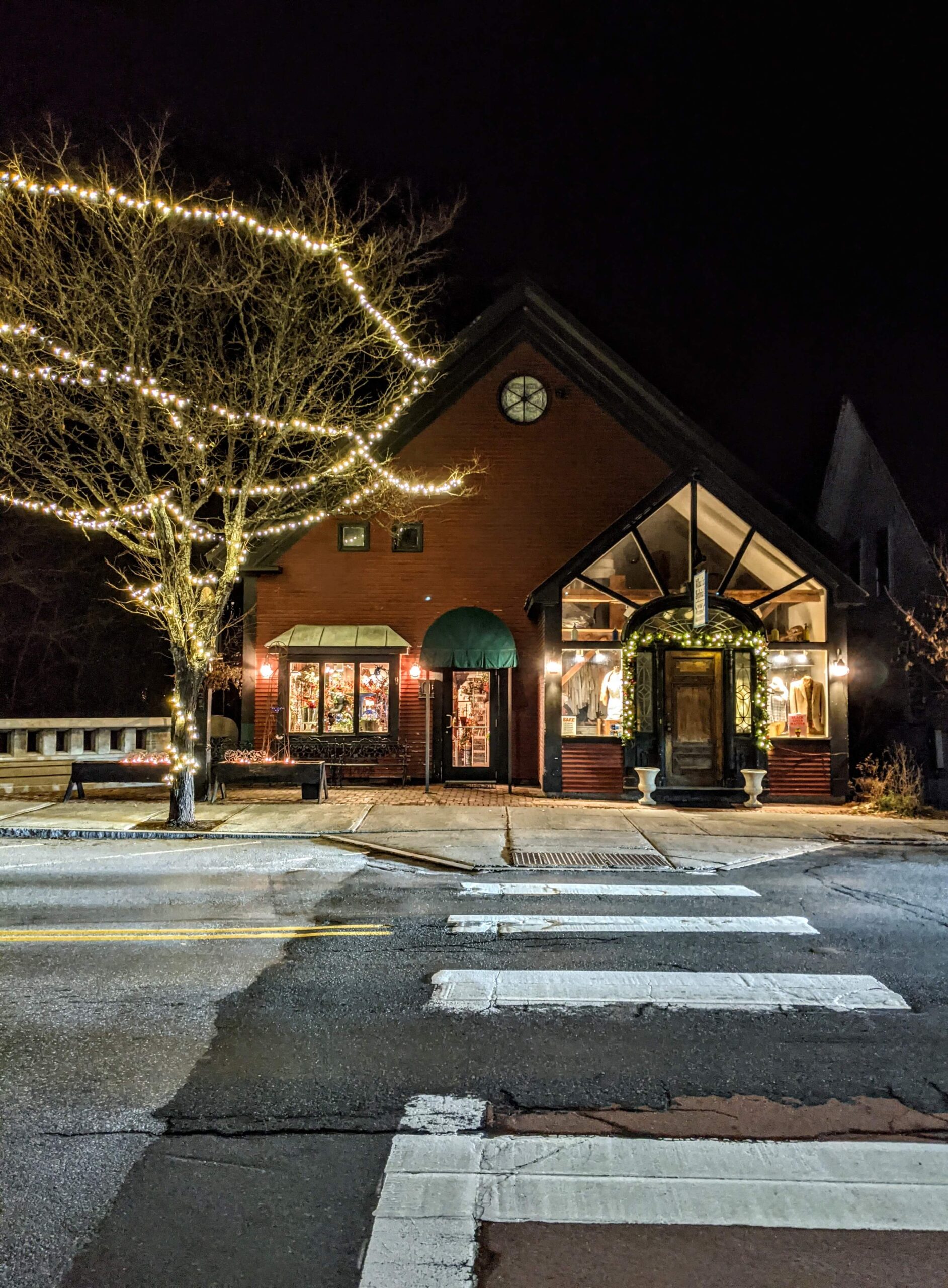 Who is Sylvia and Primrose Garden December lights