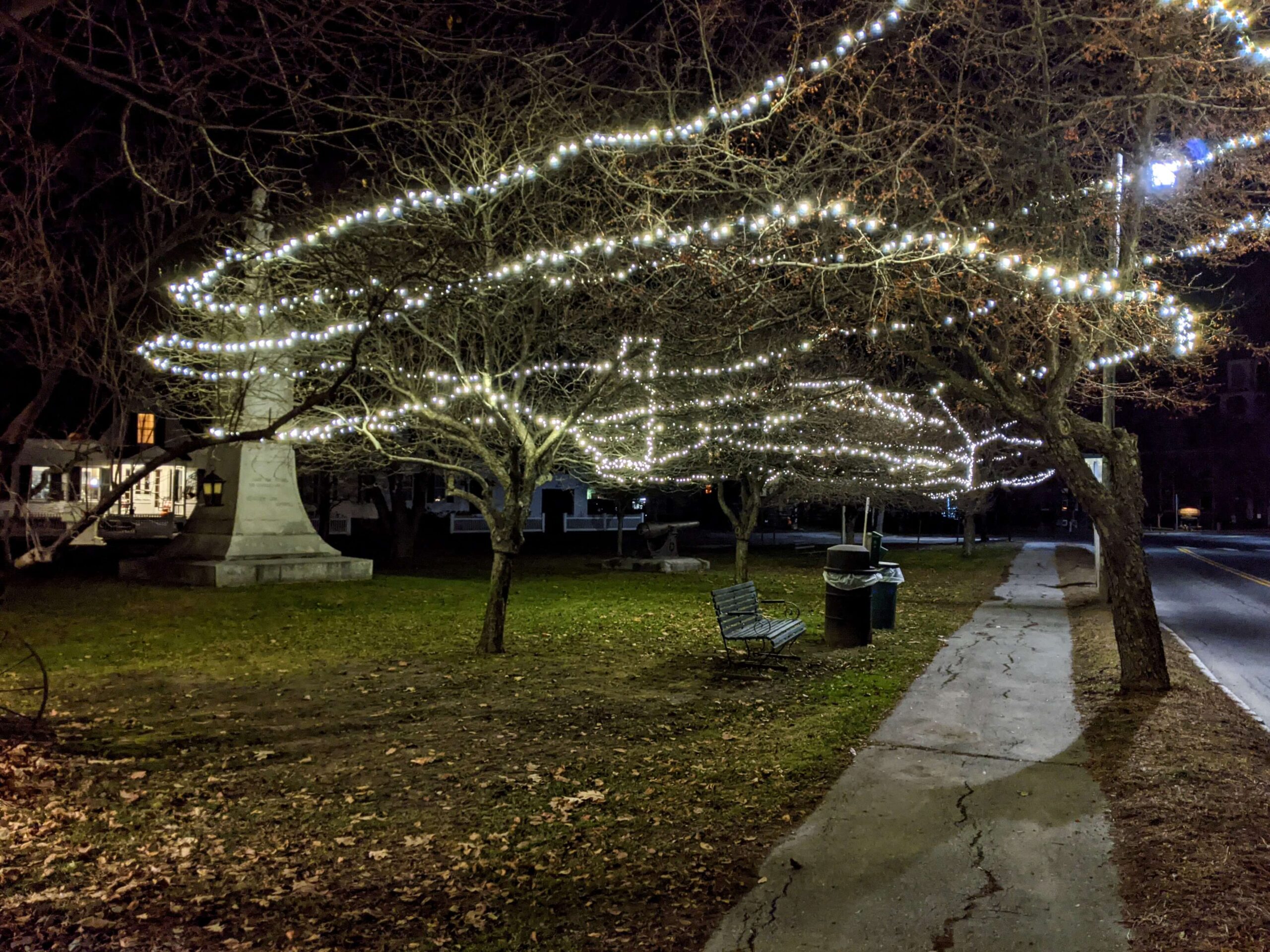 Tribou Park holiday lights