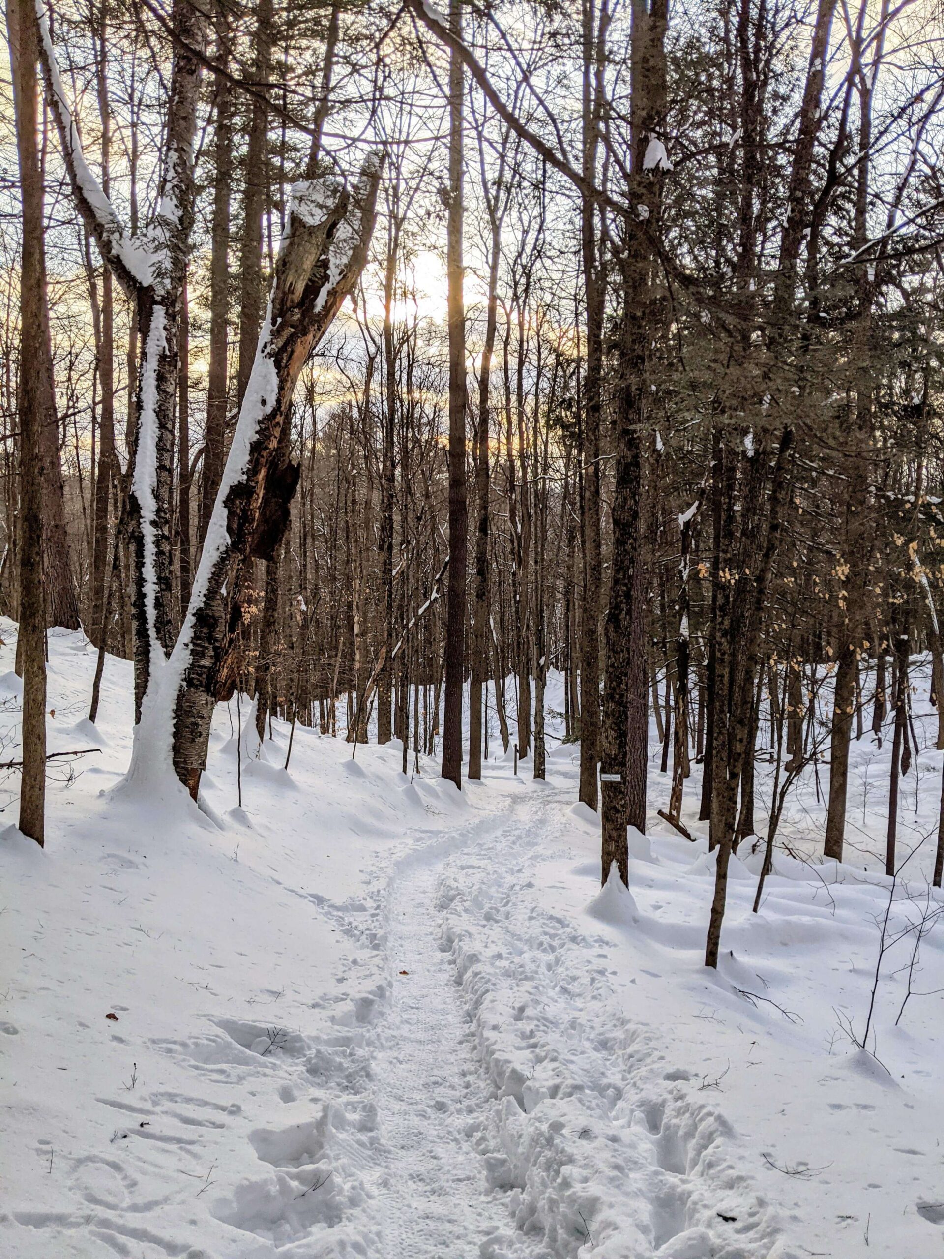 Mt Peg snowy trails winter