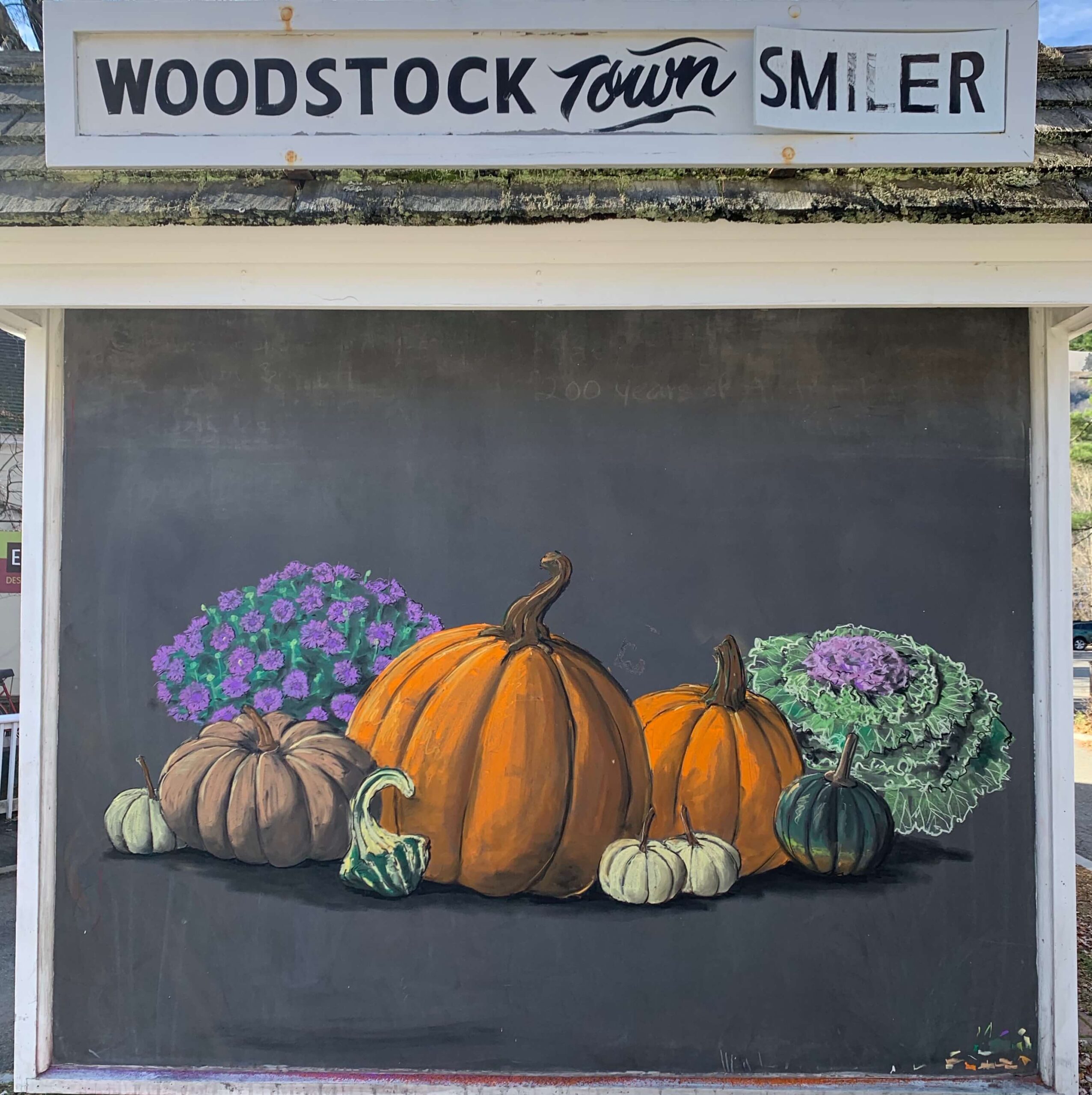 Drawing of fall pumpkins