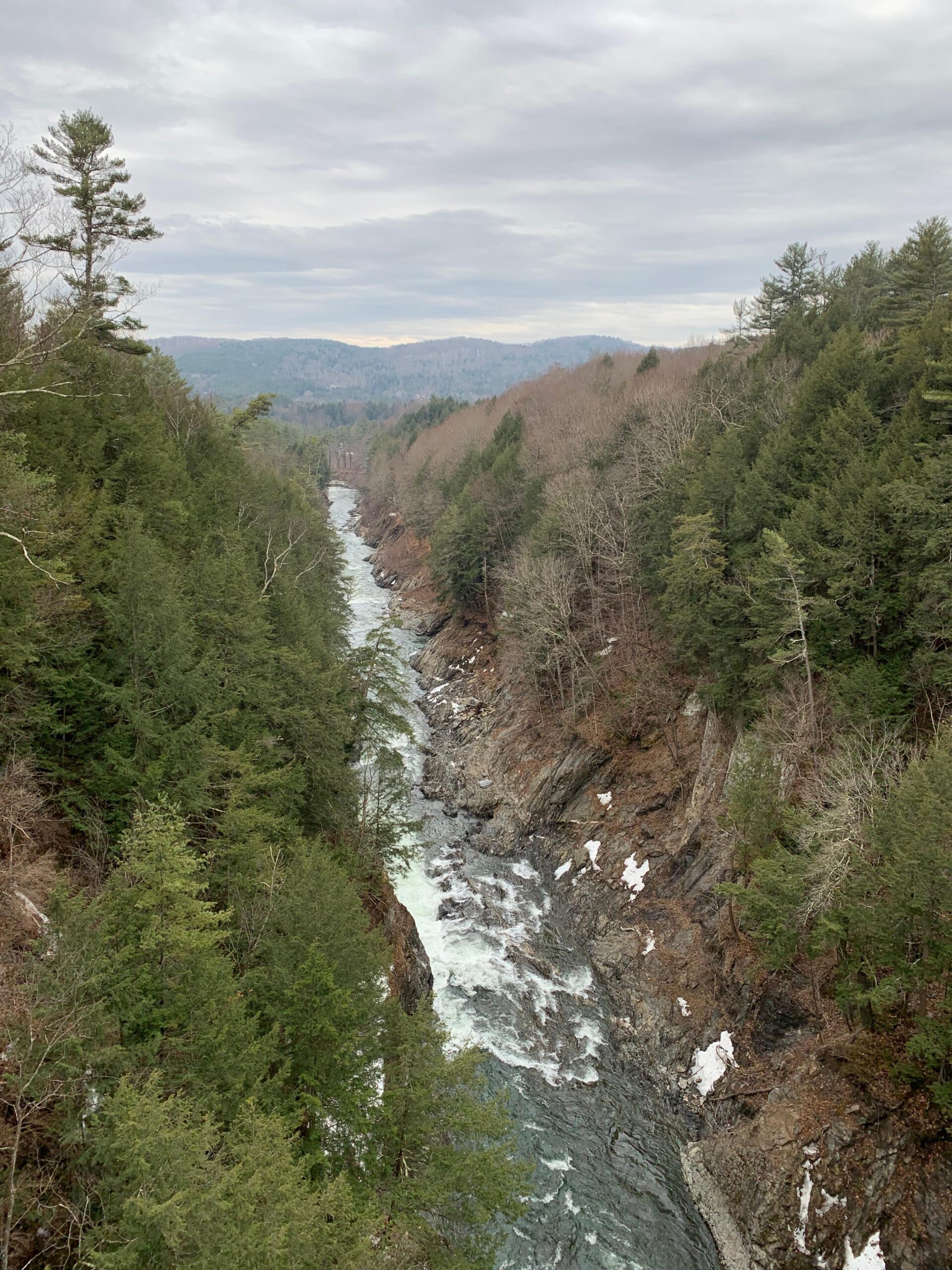 Gorge in the Spring