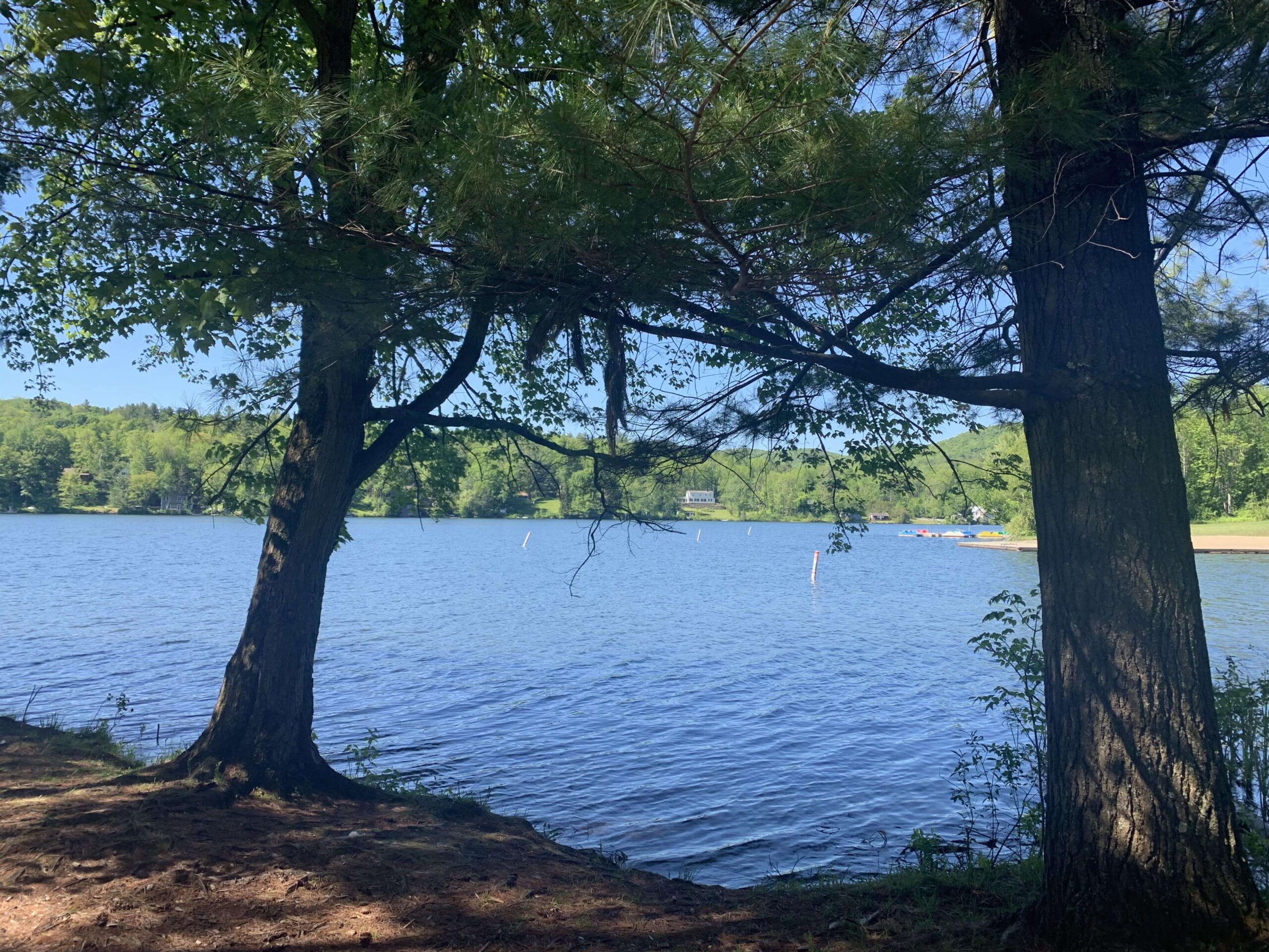 Silver Lake through the Trees