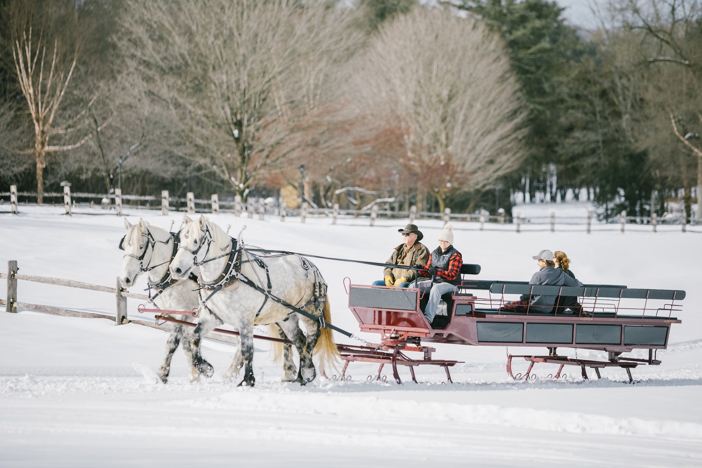 Winter Sleigh Ride