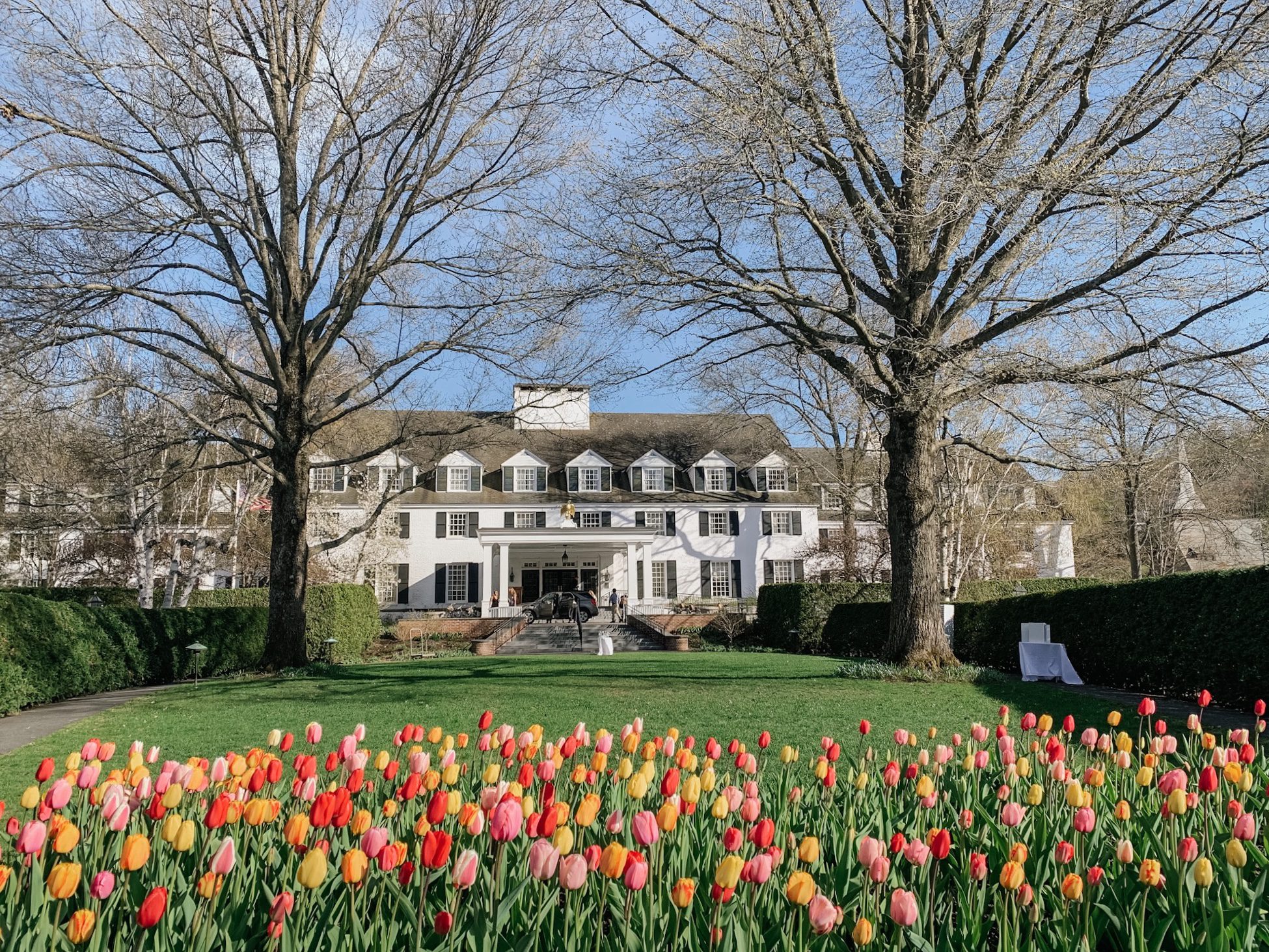 Spring Tulips Woodstock Inn