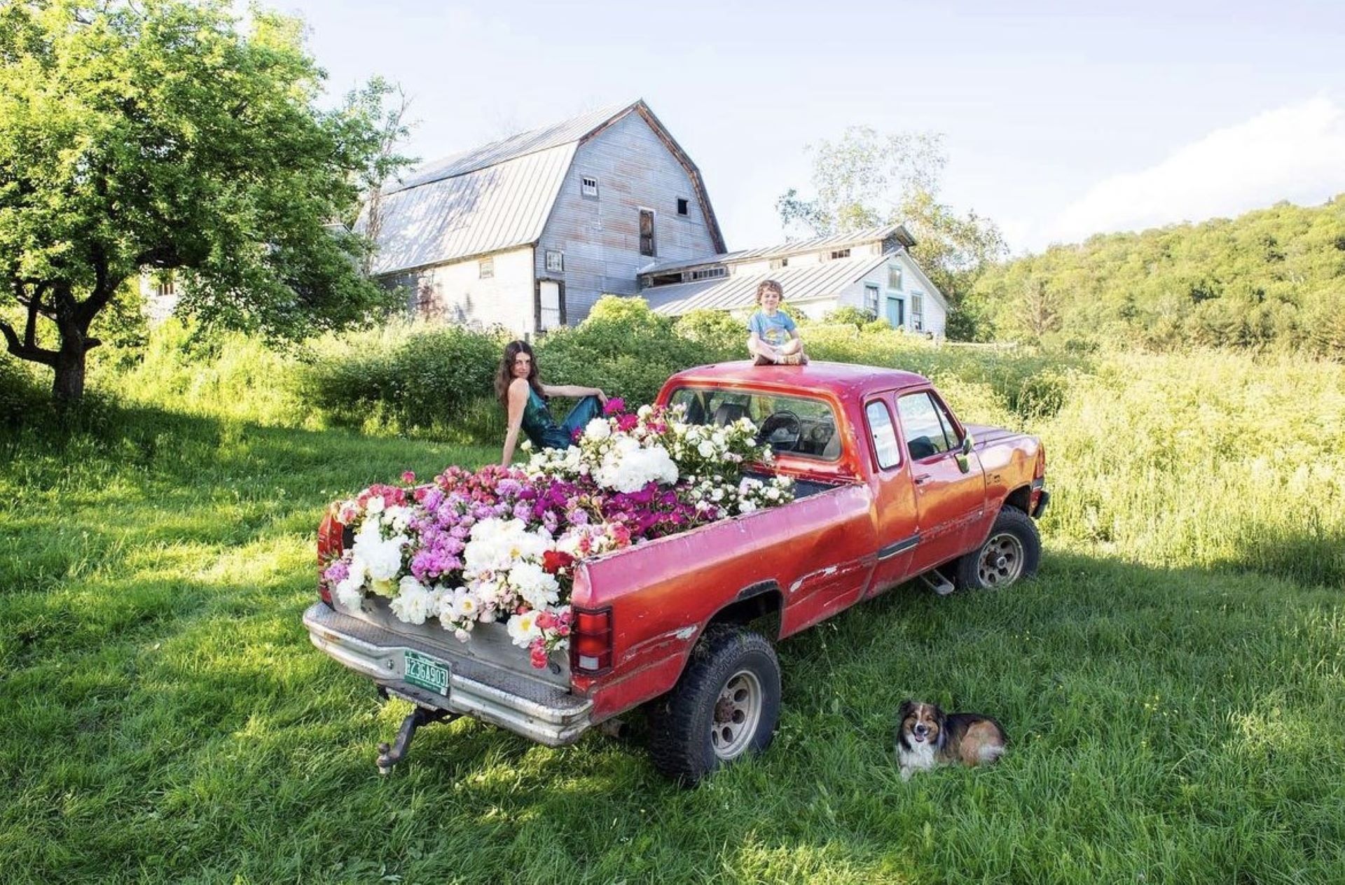 Stitchdown Farm Flowers