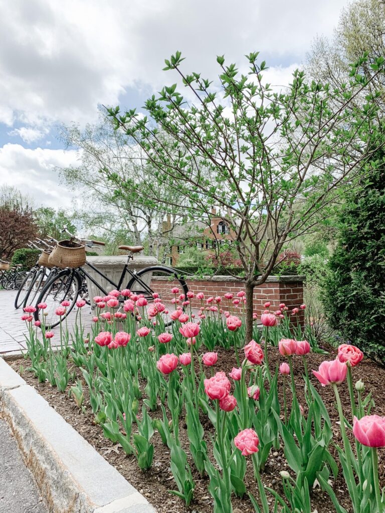 Local Events this April