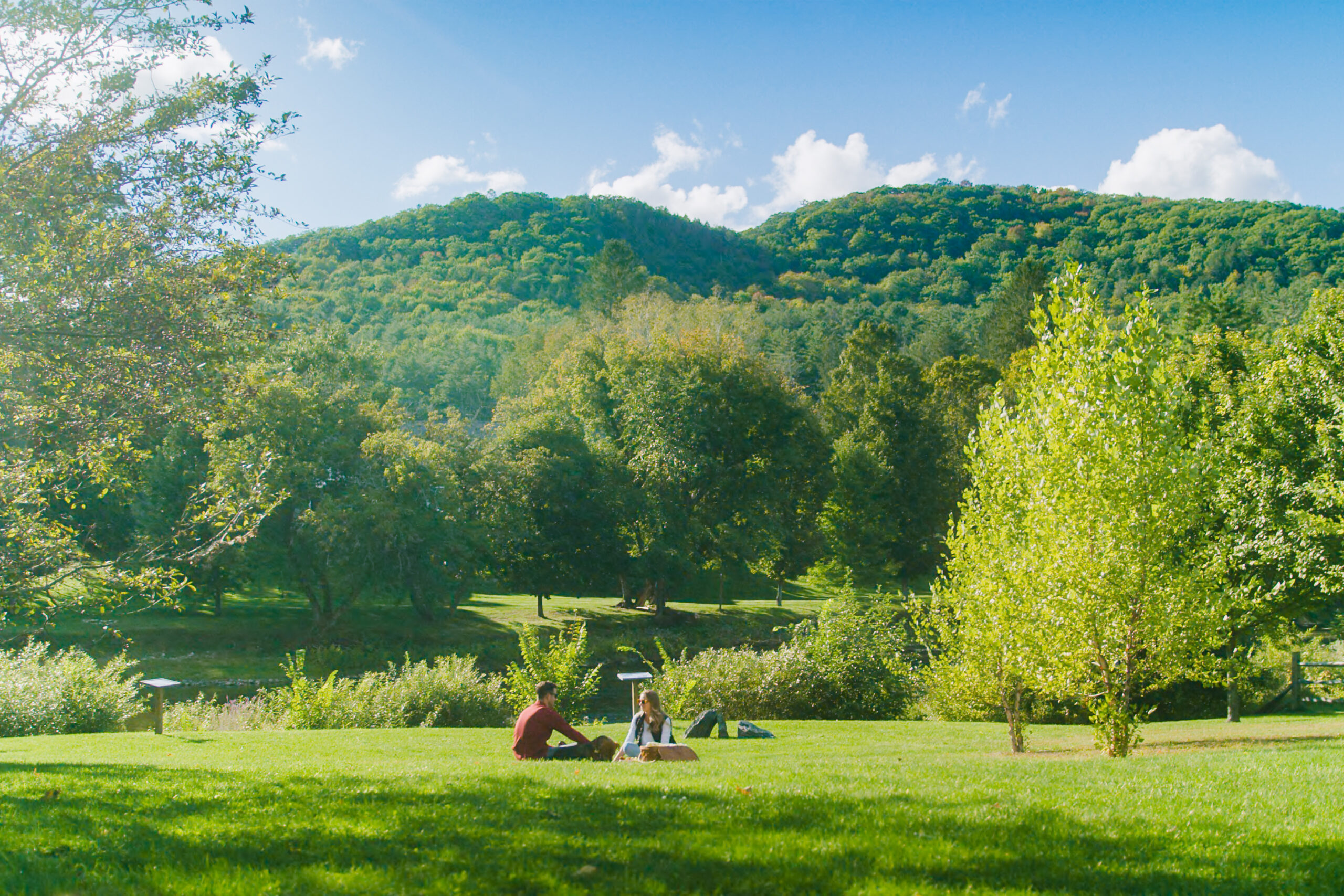 couple having a picnic