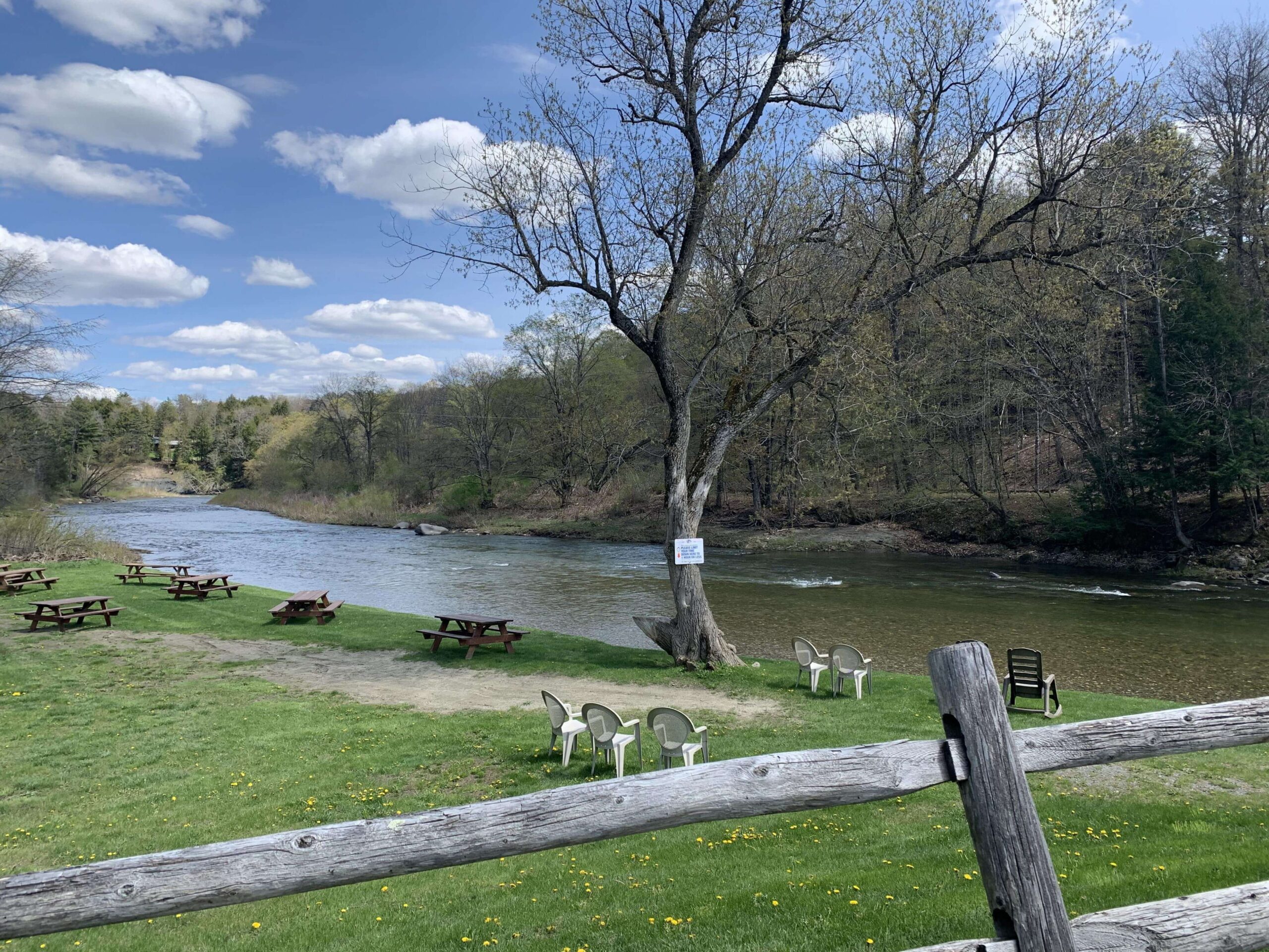 White Cottage swim area