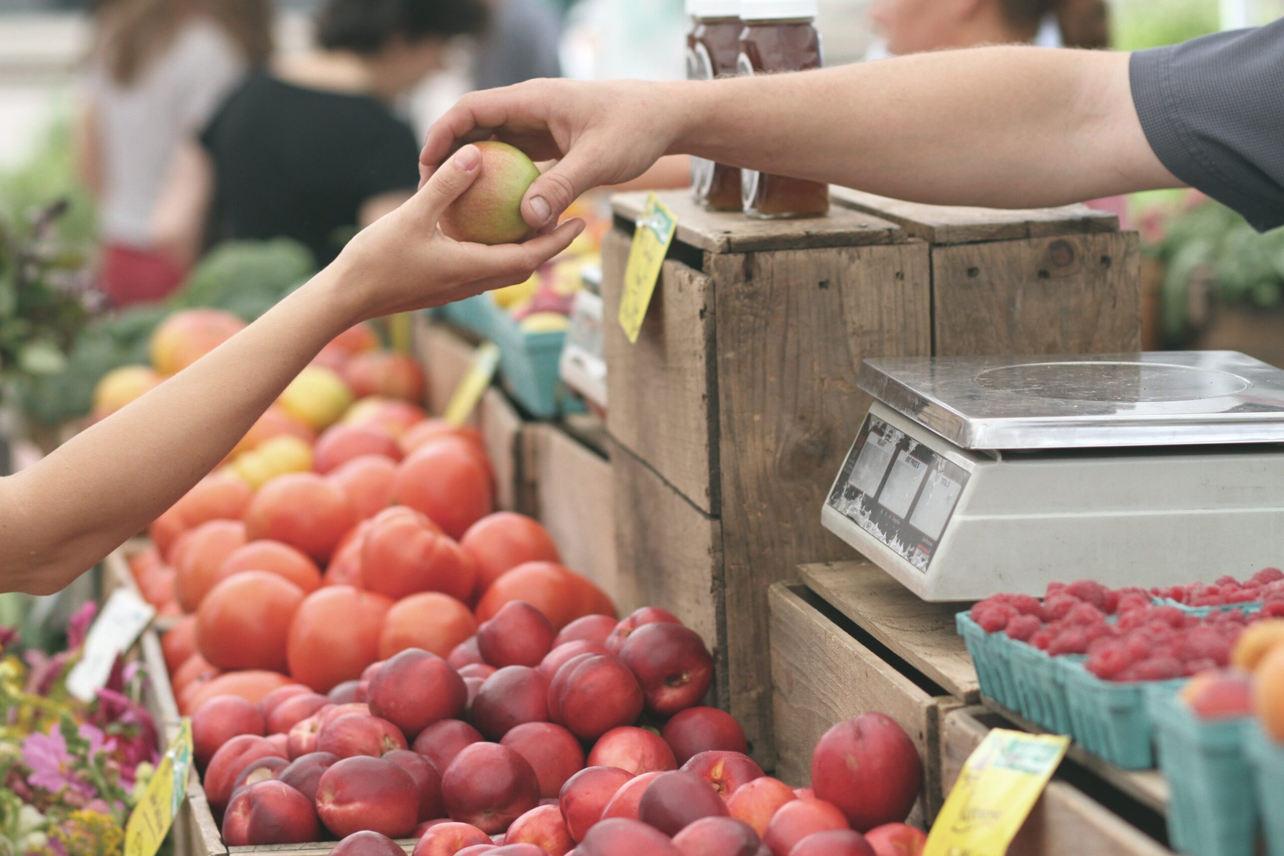 Farmer's market purchasing fruit