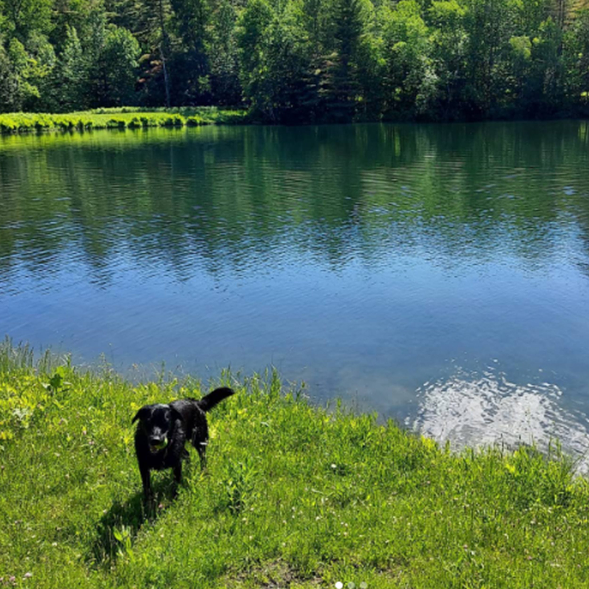 Aqueduct Walking Trails