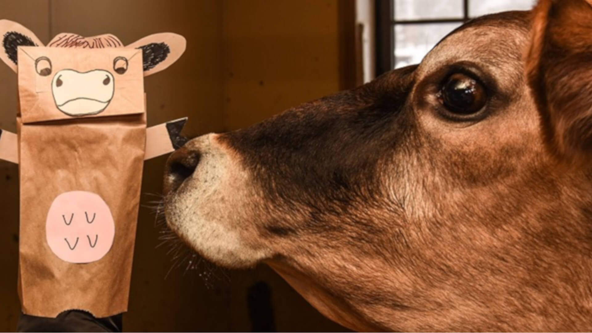 Billings Farm bag of fun craft quarantine 