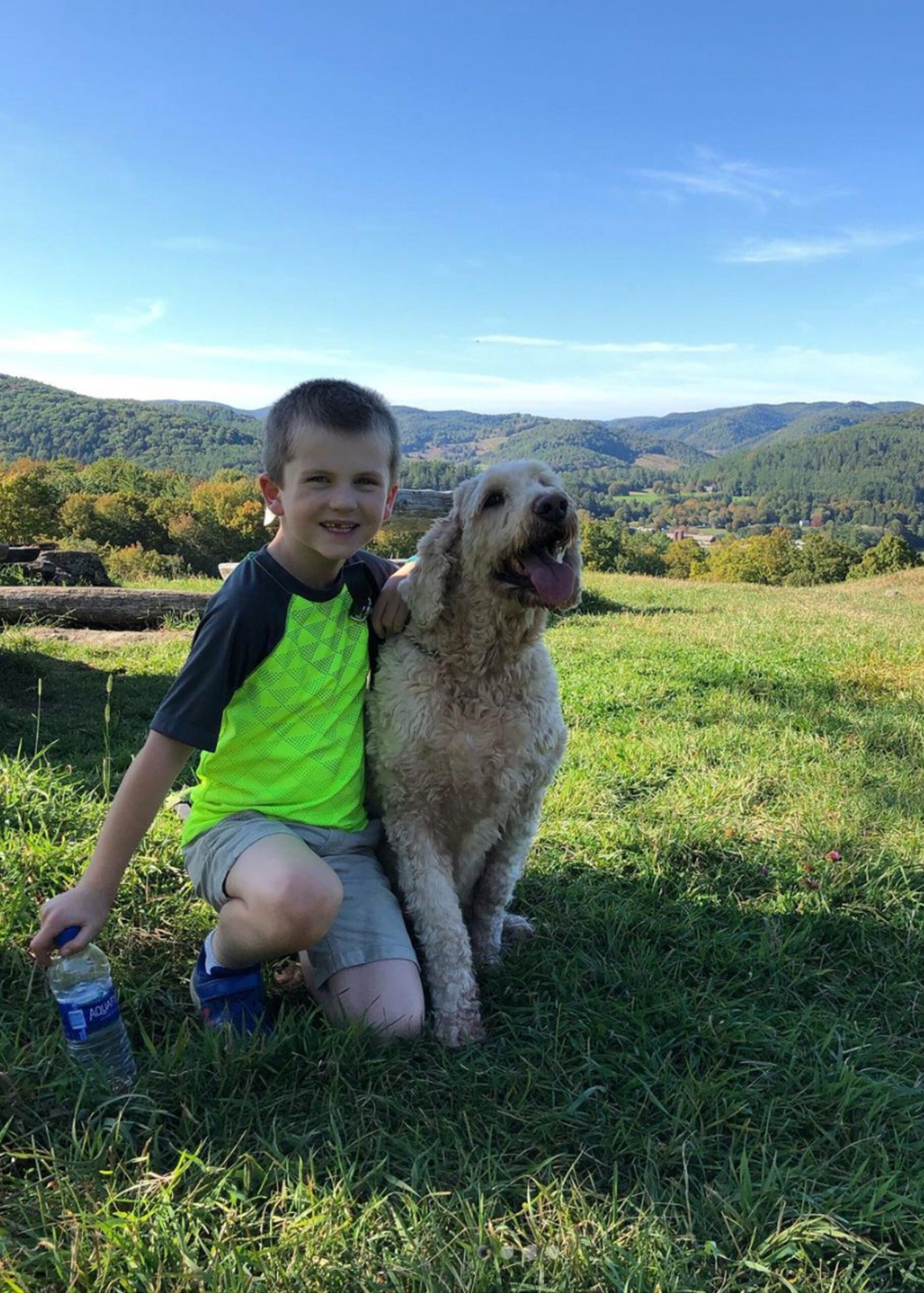 Mt Peg trail network with dogs