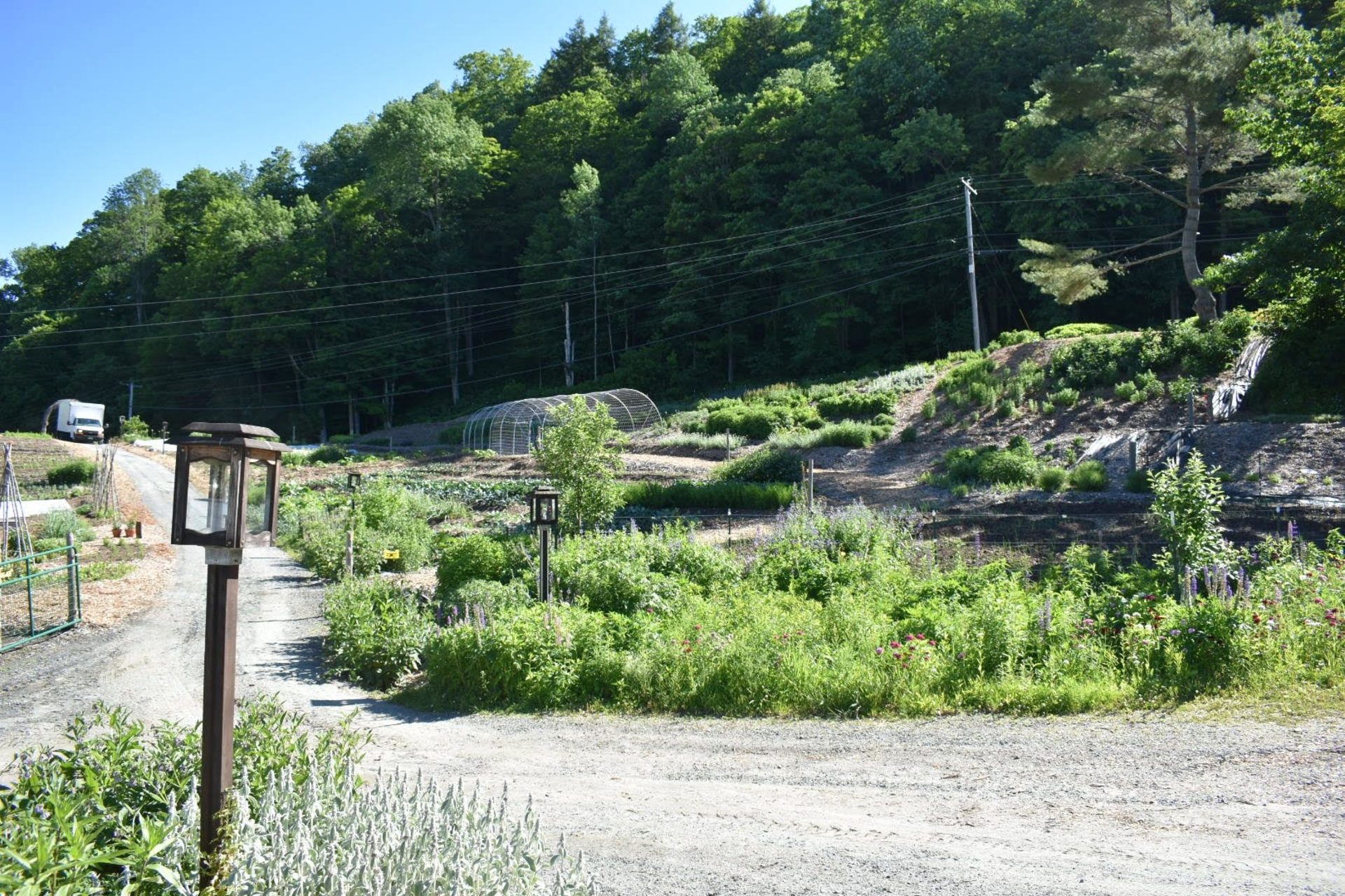 Path at Kelly Way Gardens
