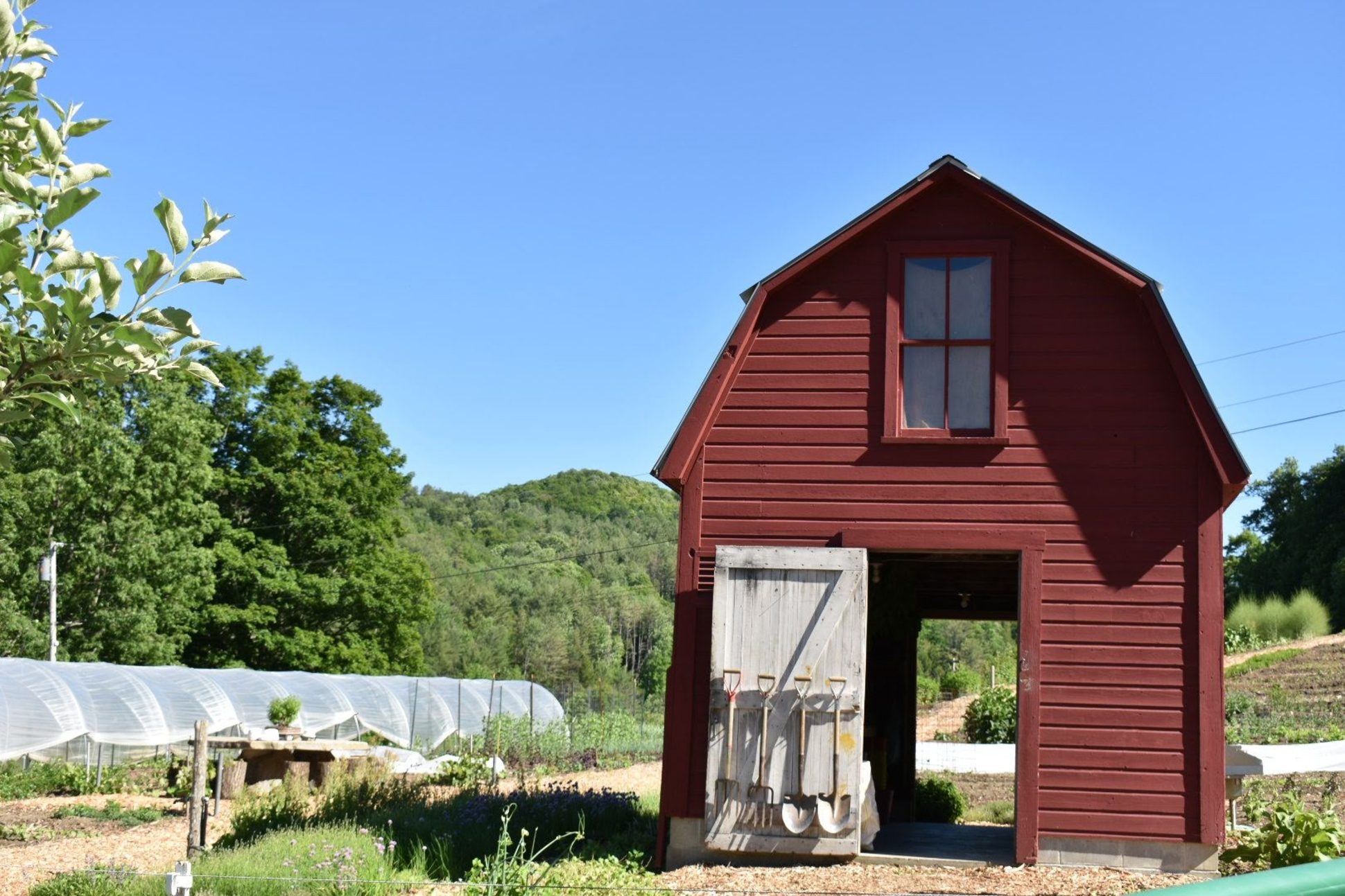 Shed at Kelly Way Gardens