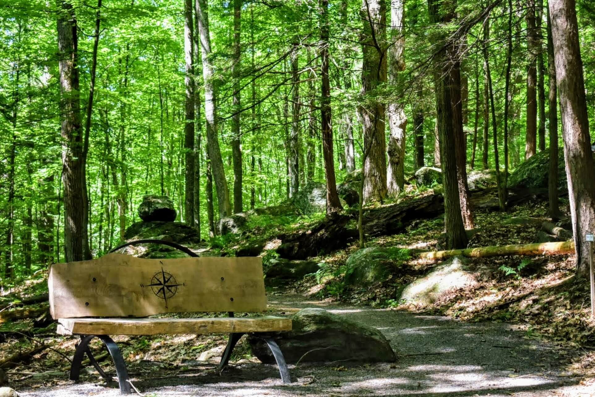 Faulkner Trail bench