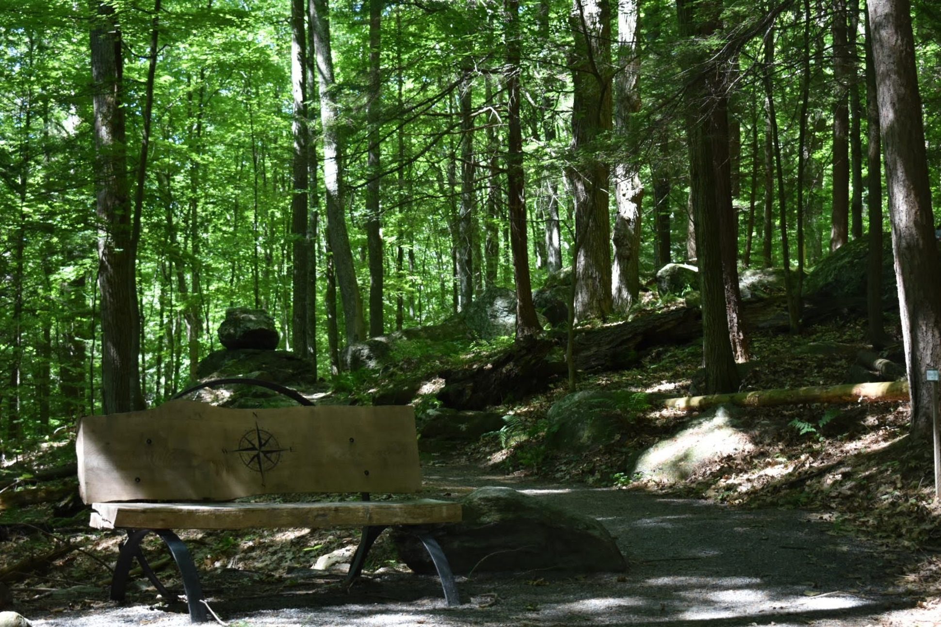 Bench on Faulkner Trail