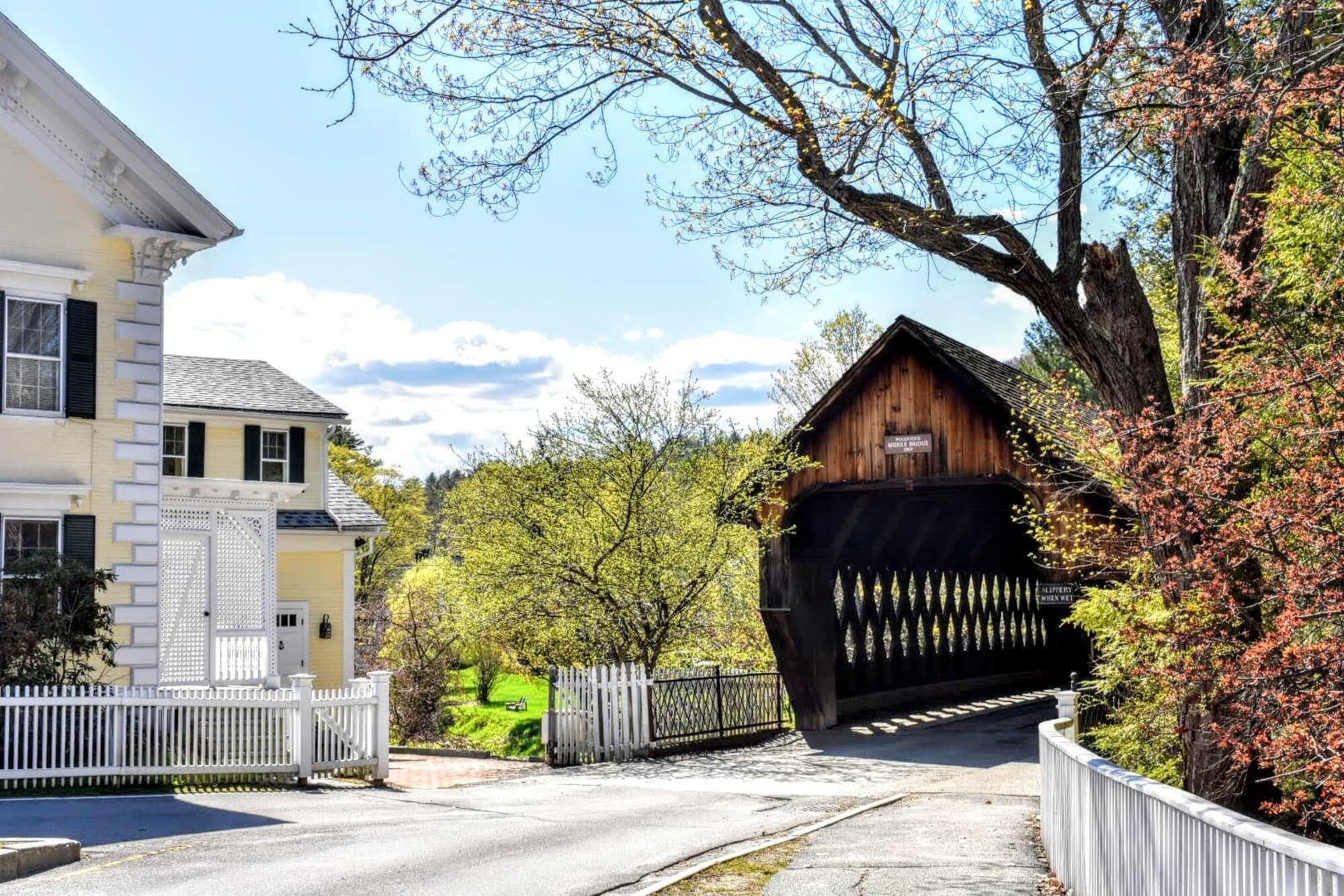 Middle Covered Bridge with spring buds