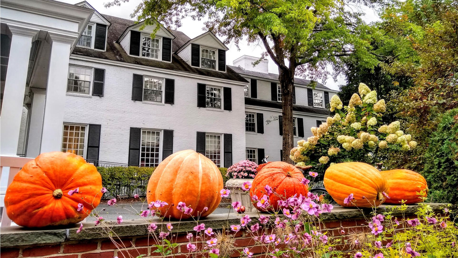 Woodstock Inn pumpkins fall