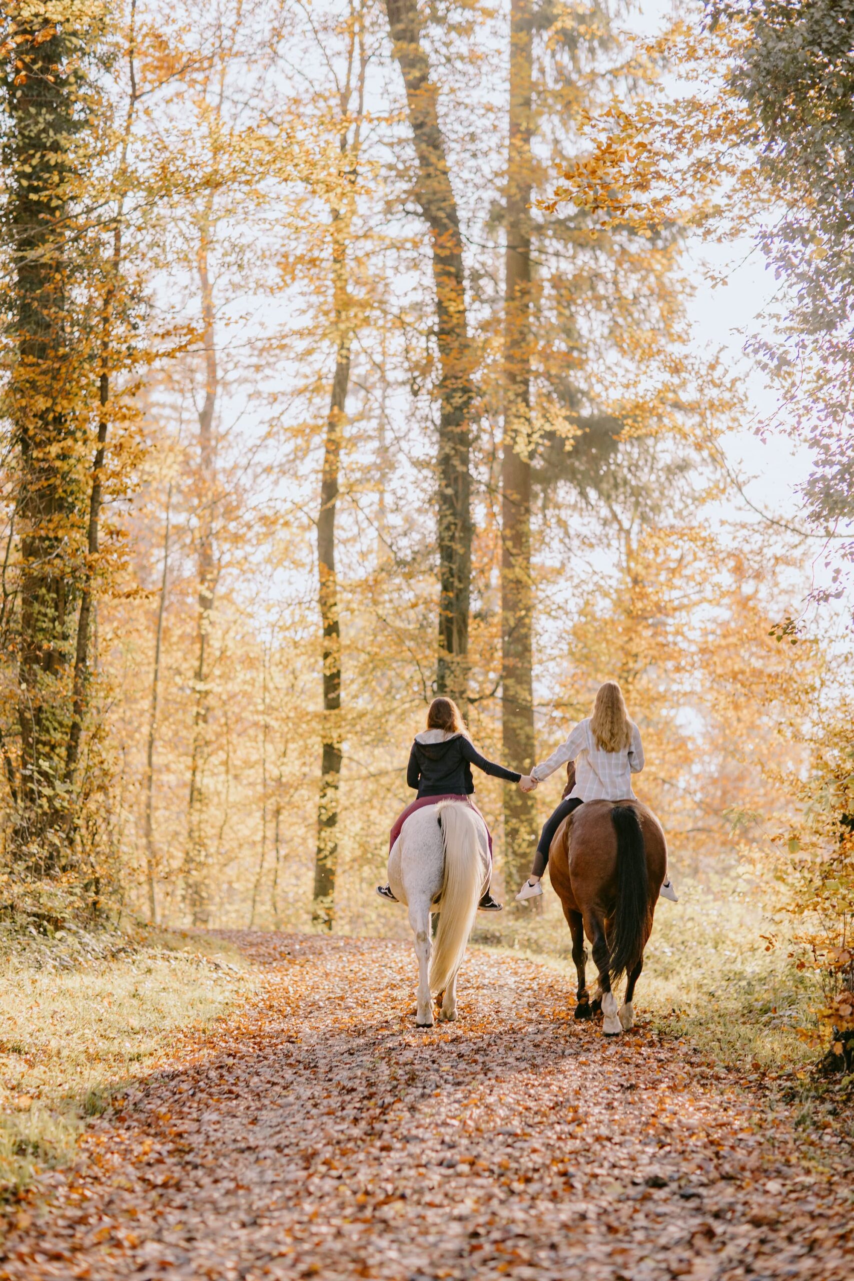 Horseback riding through fall foliage