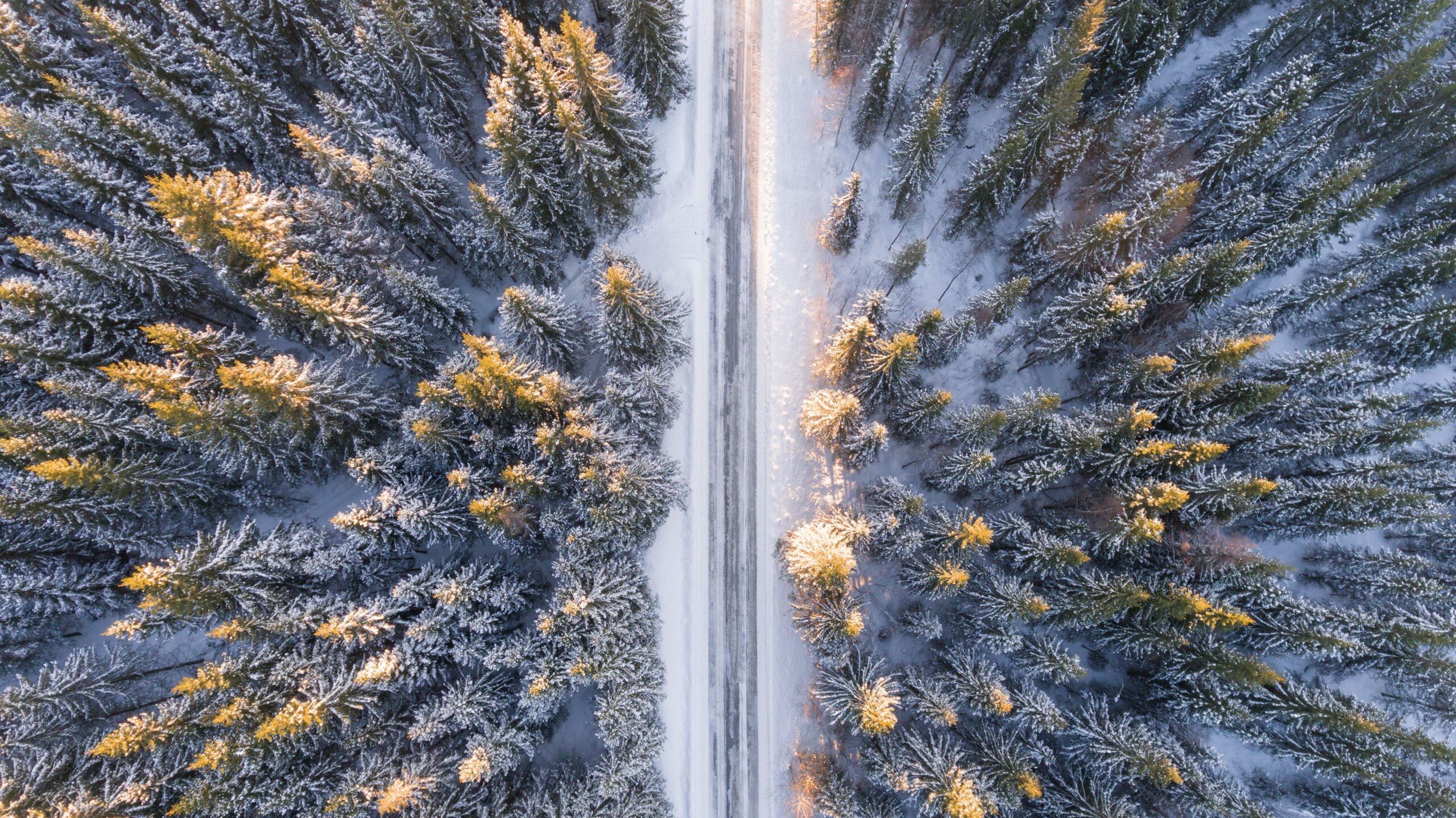 Snowy road