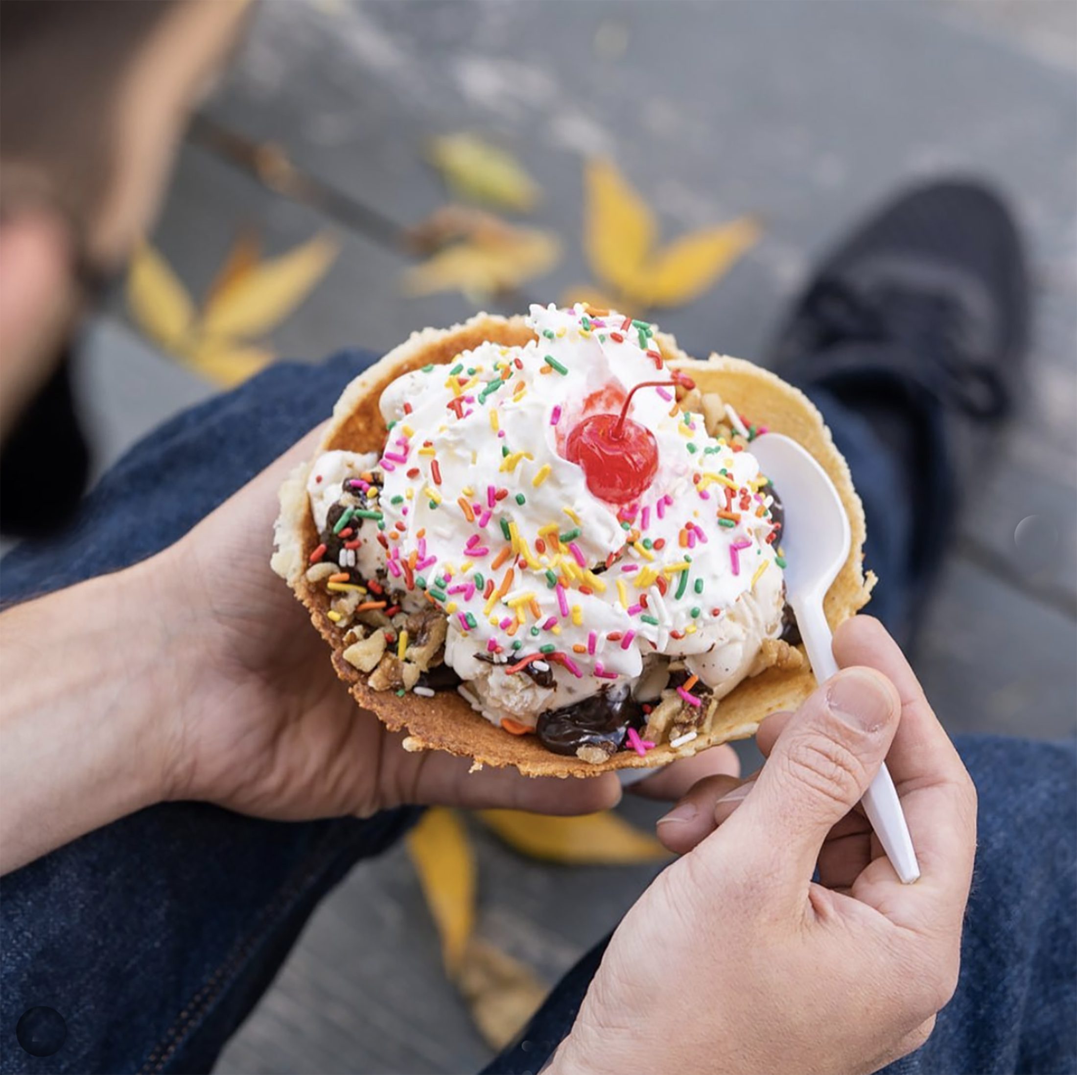 Mountain Creamery Ice Cream