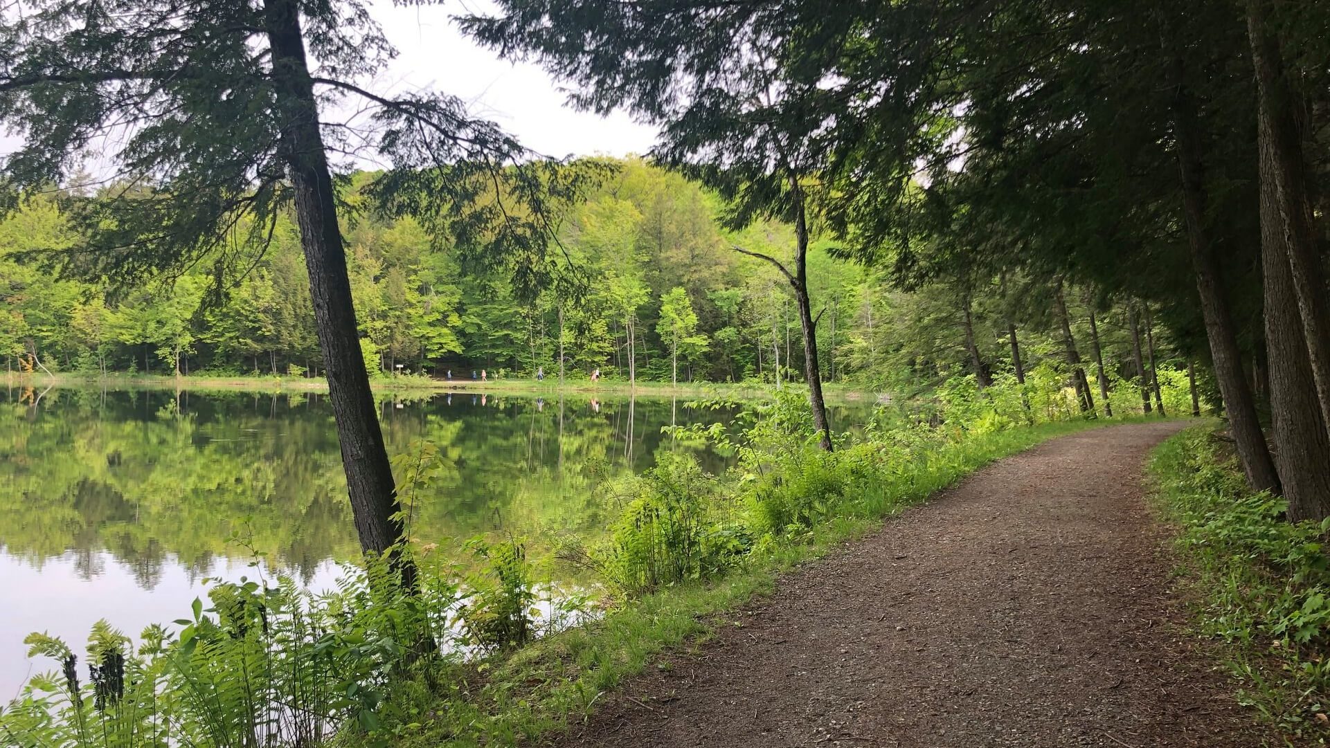 the pogue parkrun spring