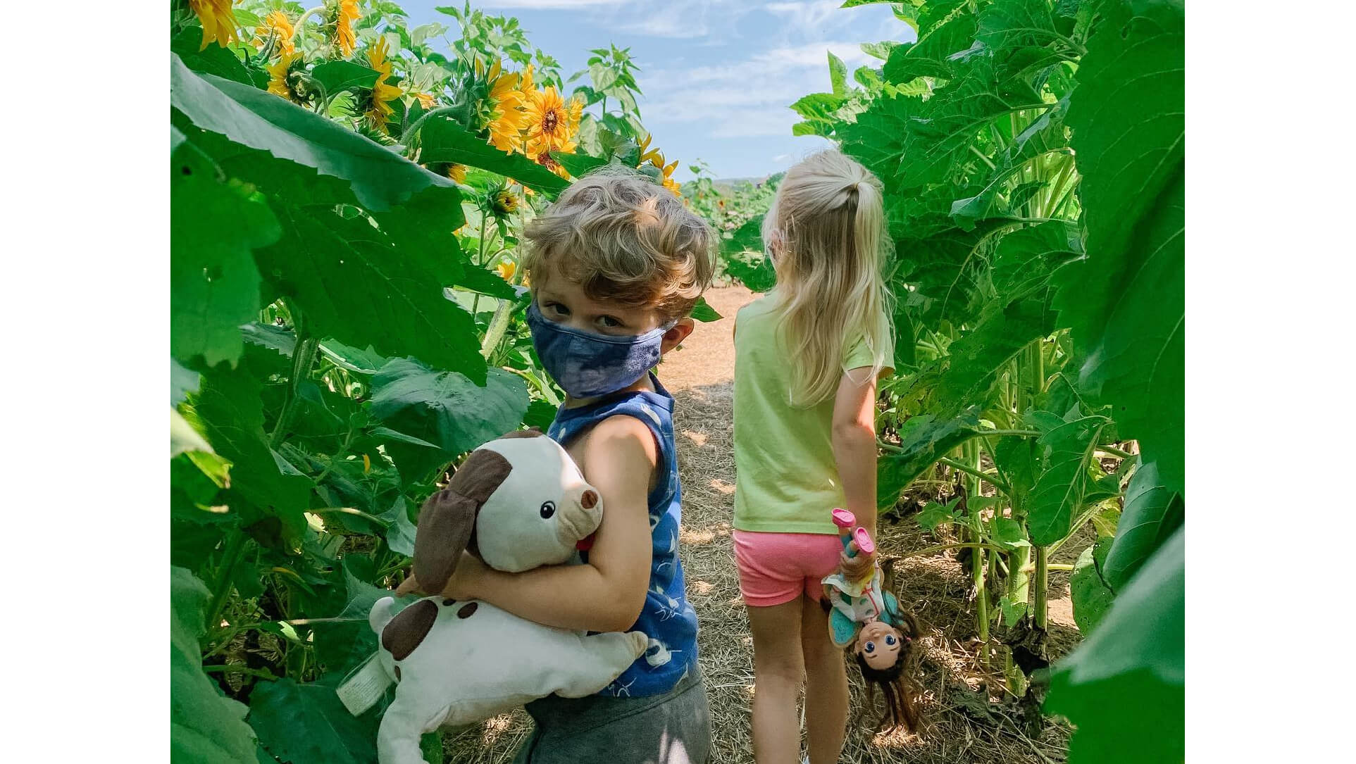 Schmidtke kids at Billings Farm sunflower house