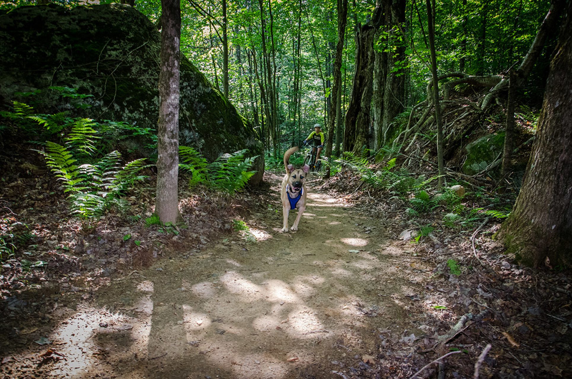 Sherburne Trails KMBC