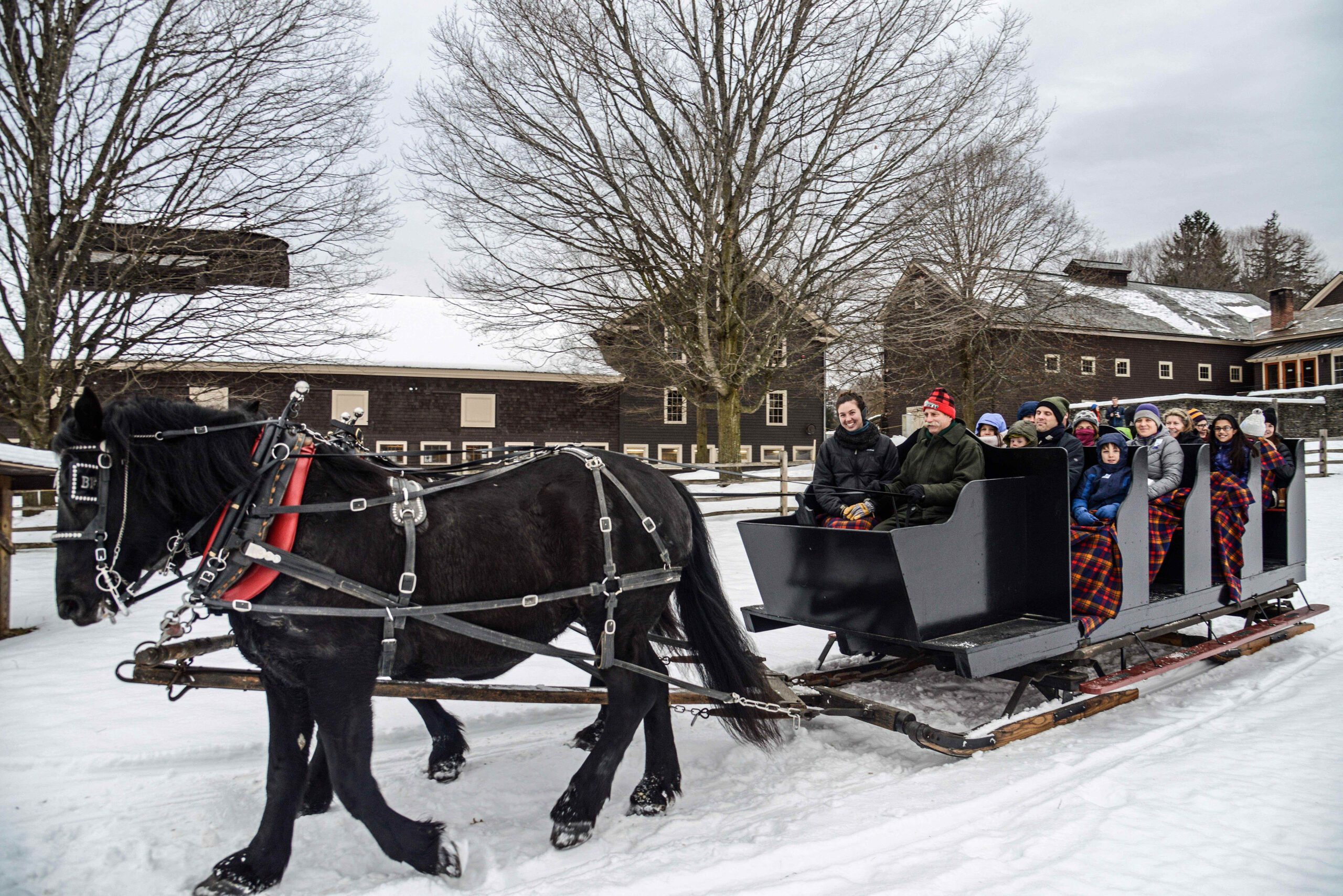 horse-drawn sleigh ride at Billings Farm
