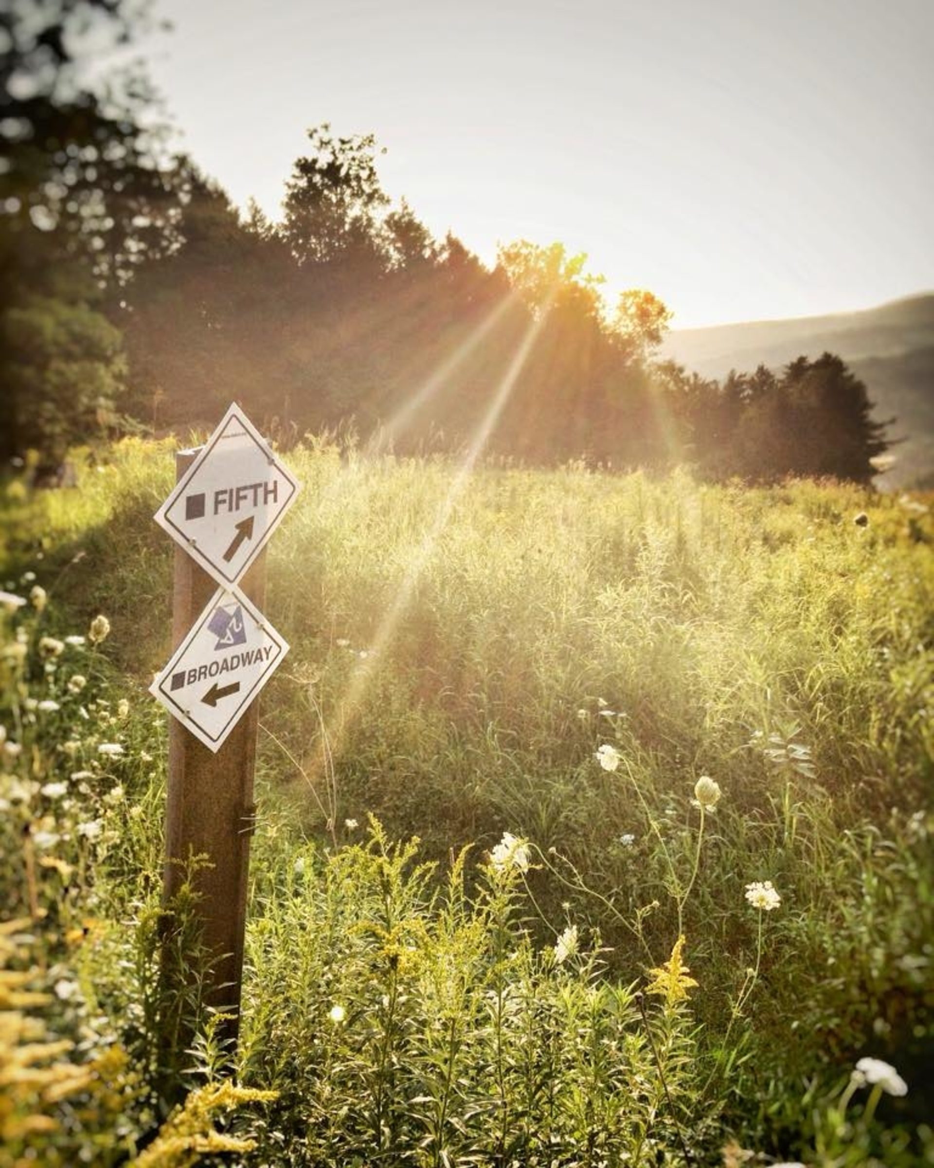 ATA mountain biking trail