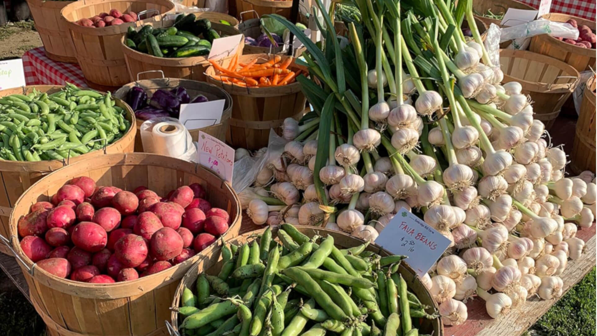Tunbridge Hill Farm produce