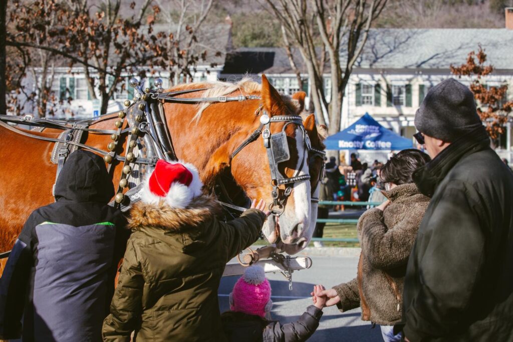 Wassail participants approach and interact with a carriage horse