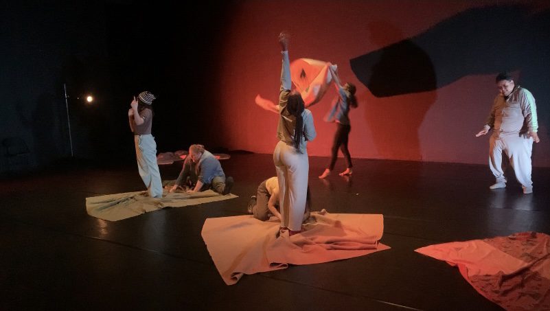 Shell: scenes from a new dance